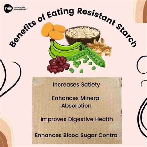What is resistant starch?- THIP Media