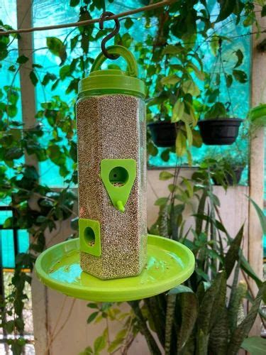 Bird Feeder - Plastic Bird Feeder Manufacturer from Ahmedabad