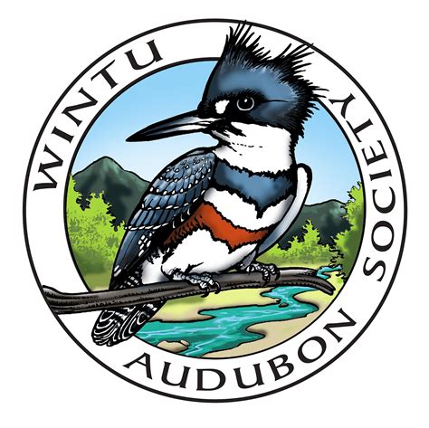 Wintu Audubon Chapter of the National Audubon Society | Mightycause