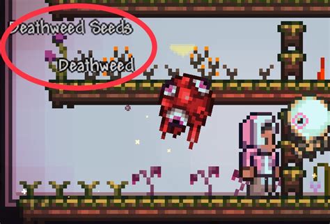 Resolved - [Mobile] PLANTERBOX HARVESTING BUG | Terraria Community Forums