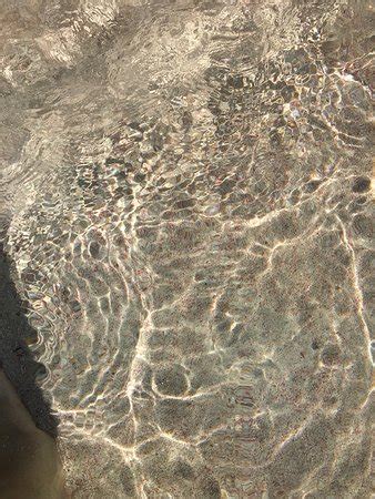 Warwick Long Bay Beach (Warwick Parish) - 2018 What to Know Before You ...