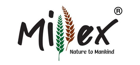 Foxtail Millet Advantages, Benefits, Nutrition, Recipes, Side Effects ...