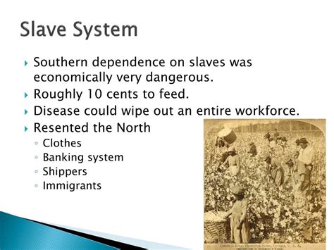 Task System 的图像结果