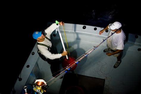For A Florida Fishery, 'Sustainable' Success After Complex Process : NPR