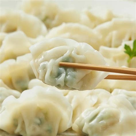 9752 CJ Bibigo Mul-Mandu 비비고 물만두 370gx2 – Koreanfood.co.in