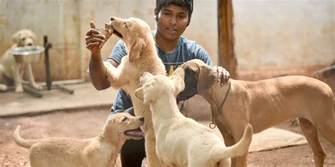 Though Well-Intentioned, Courts' Recognition of Rights for Animals Is ...