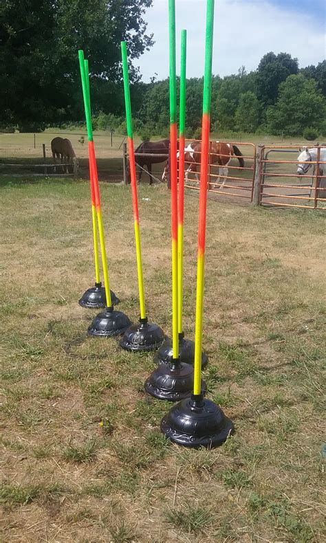 Image result for Pole Bending Tips