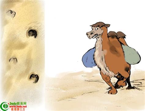 重绘·小骆驼|插画|儿童插画|briam_原创作品-站酷(ZCOOL)