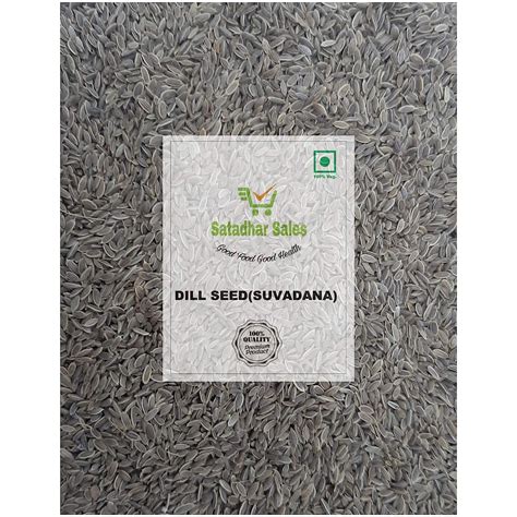satadhar sales Dill Seeds / SUVA / Suvadana (100 gm) : Amazon.in ...