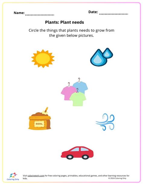 Plants: Plant Needs Free Printable Worksheet