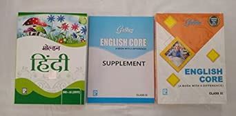 11TH STD CBSE-NCERT-ENGLISH/HINDI study guide : R.N. VASHISTA & R.K ...