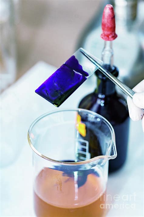 Image result for Microscope Staining