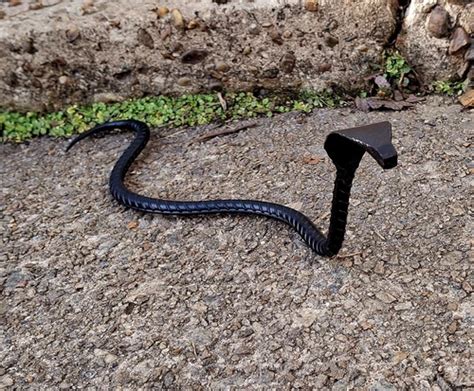 Rebar King Cobra Snake Hand Forged Iron Snake Garden India | Ubuy
