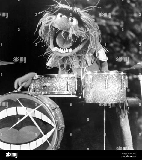Electric Mayhem Band