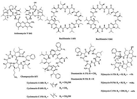 Marine Cyclic Peptides: Antimicrobial Activity and Synthetic Strategies