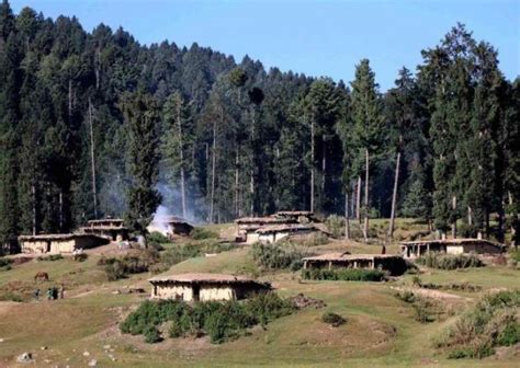Rolling out Forest Rights Act in J&K: Make it democratic, participative ...