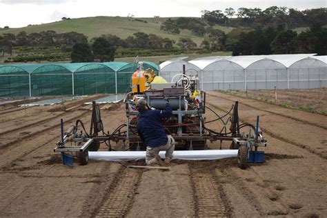 Image result for Fumigation Process