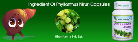 Buy Planet Ayurveda Phyllanthus Niruri Capsules - 60N Online at Low ...