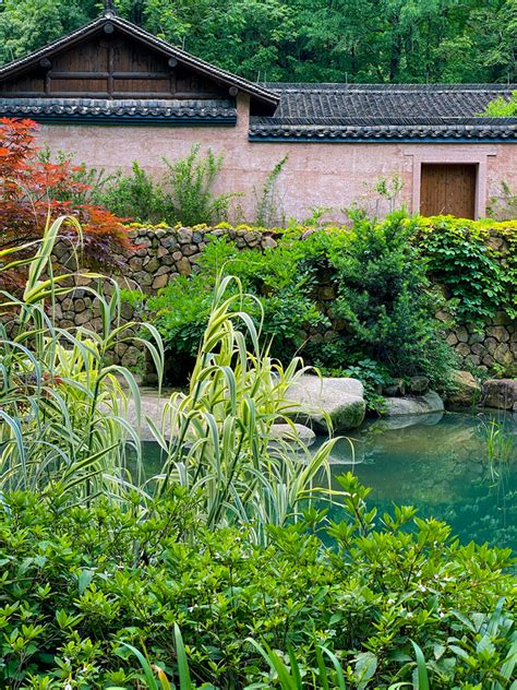 杭州植物园水生植物园 - 风景名胜区 - 首家园林设计上市公司