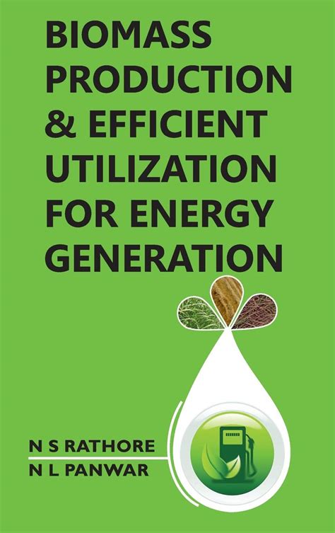 Buy Biomass Production And Efficient Utilization For Energy Generation ...