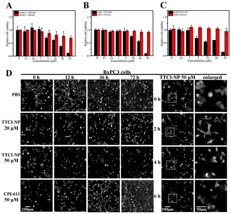 Smart Design of Mitochondria-Targeted and ROS-Responsive CPI-613 ...
