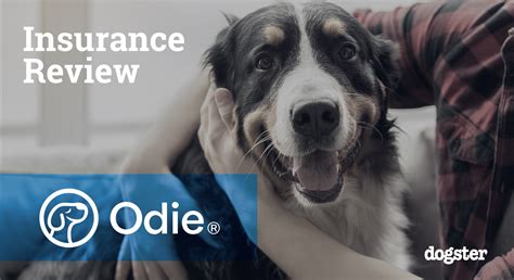 Odie Pet Insurance Review 2026: An Expert’s Breakdown – Dogster