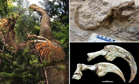 New Species of Two-Fingered Dinosaur Discovered in Mongolia Stuns Paleontologists