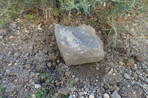 Image result for Python Age Programming