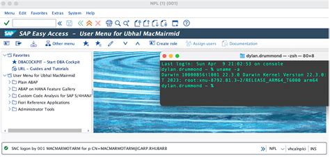 Image result for Encrypt SAP Control Connection
