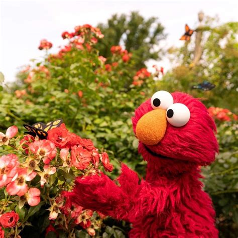 Pin on Sesame Street | Sesame street muppets, Elmo and friends, Elmo ...