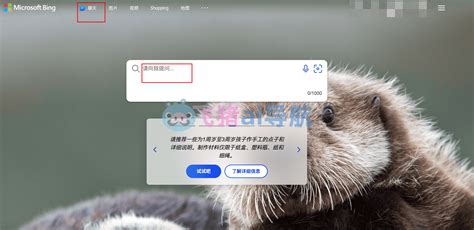 必应 Ai 入口 的图像结果