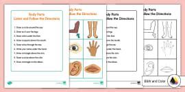 Body Parts Vocabulary | The Human Body | Twinkl USA - Twinkl
