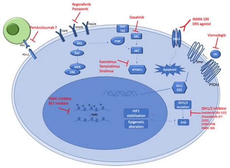 Biology and Management of High-Grade Chondrosarcoma: An Update on ...