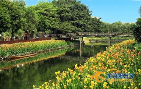 2022榴花公园游玩攻略,榴花公园位于东莞东城街道，...【去哪儿攻略】