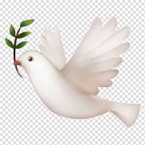 Iphone Dove Emoji Wallpaper White Transparent White Png Free in 2024 ...