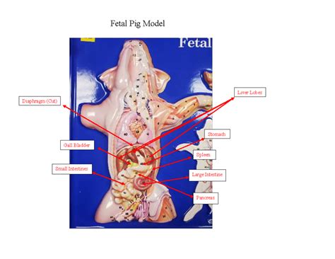 Image result for Gray Code Machine Learning Map