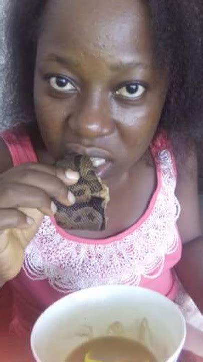 Image result for Cooked Python