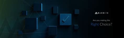 Headless vs Traditional Shopify Dilemma – Marmeto