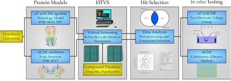 Structure-Based Discovery of Dual-Target Hits for Acetylcholinesterase ...