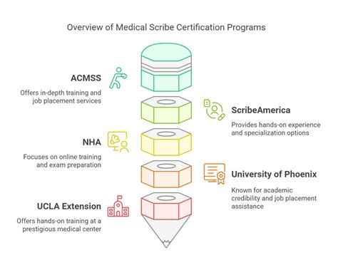 Best Programs for Medical Scribe Certification