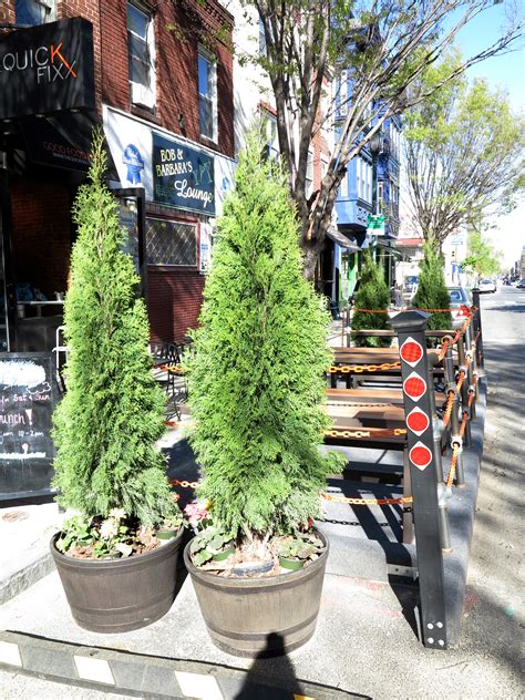 Parklet milestones on South Street West - WHYY