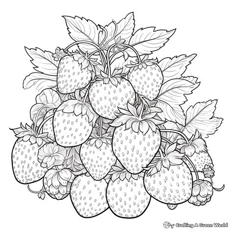 Fun Strawberry Plant Coloring Page: Easy Printables! - Free coloring ...