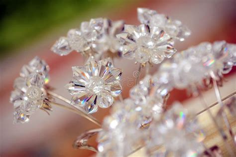 想看還得碰運氣！日本「透明水晶花」只有下雨天看得到 連花語都美得讓人心動♡ - 日本風向球