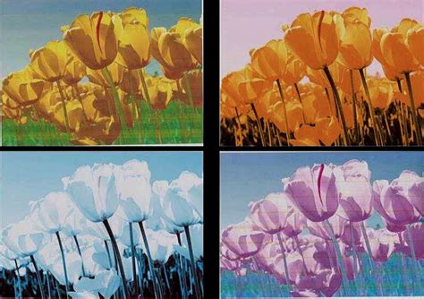 Image result for Troubleshoot Printer Color Problems