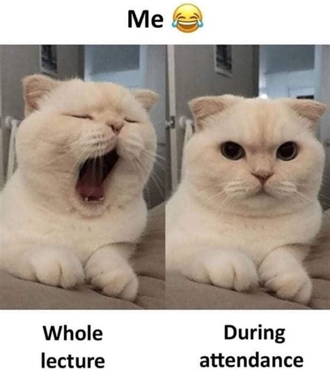 Funny Comment Sections 的图像结果