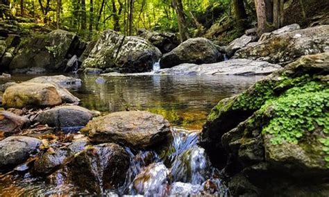 Randolph Tourism (2023): Best of Randolph, NJ - Tripadvisor