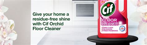 CIF Wild Orchid Multipurpose Floor Cleaner with Shiny Clean & Fresh ...