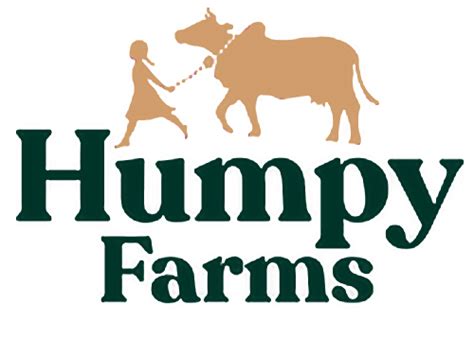 Procare Accounting & Shopify Development