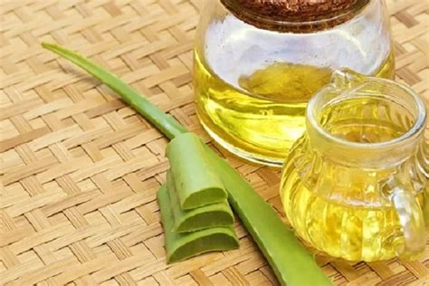 manfaat dan kegunaan aloe vera gel
