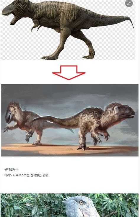 Image result for Normal HTML and CSS Pages
